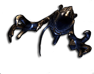 AvP2 Drone
