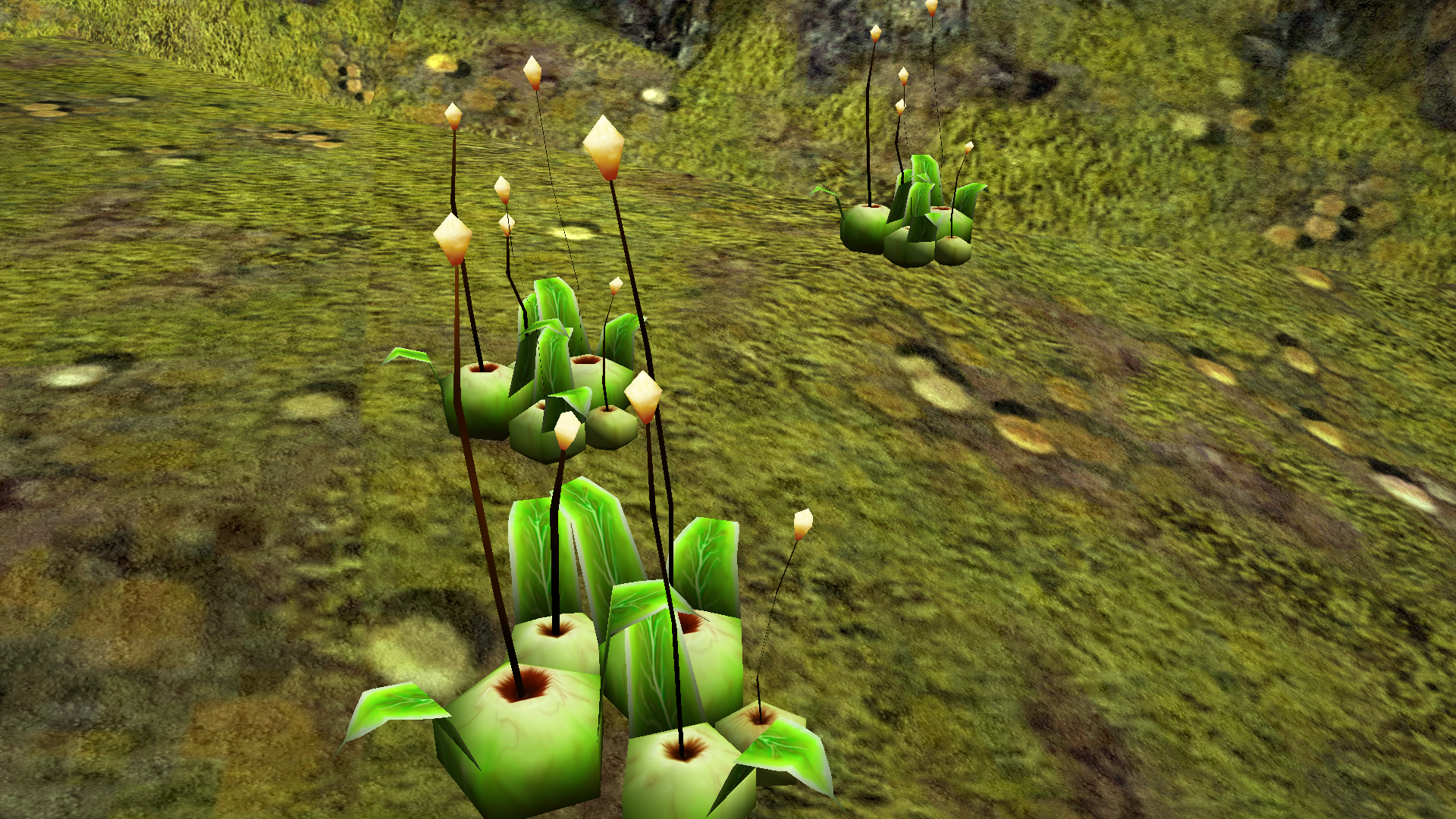 Fluorescent plants cluster