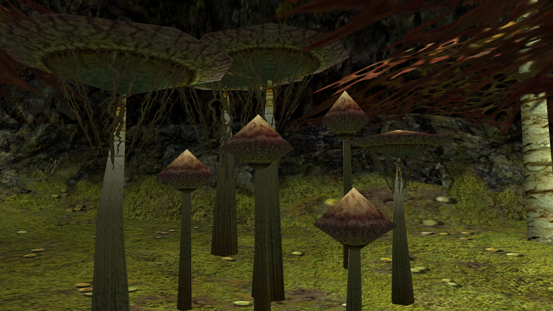 Tall cap mushrooms