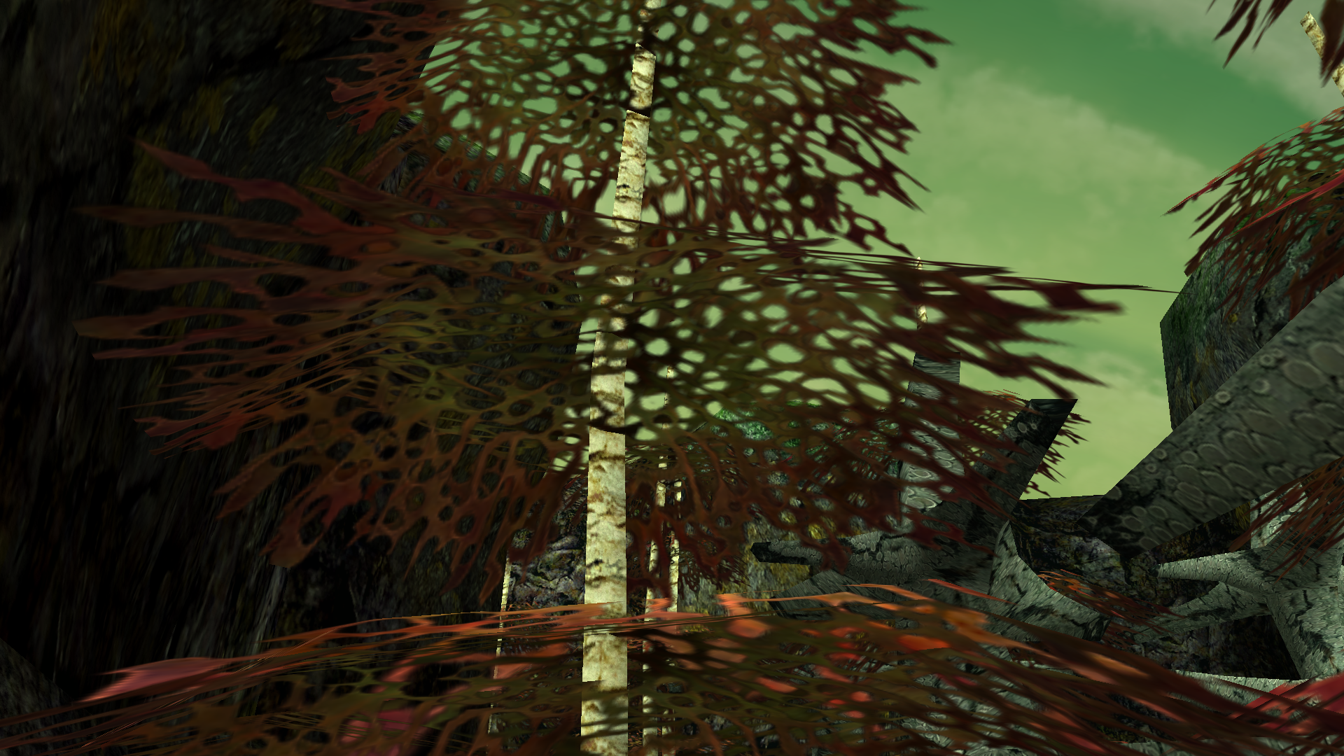 Red canopy trees