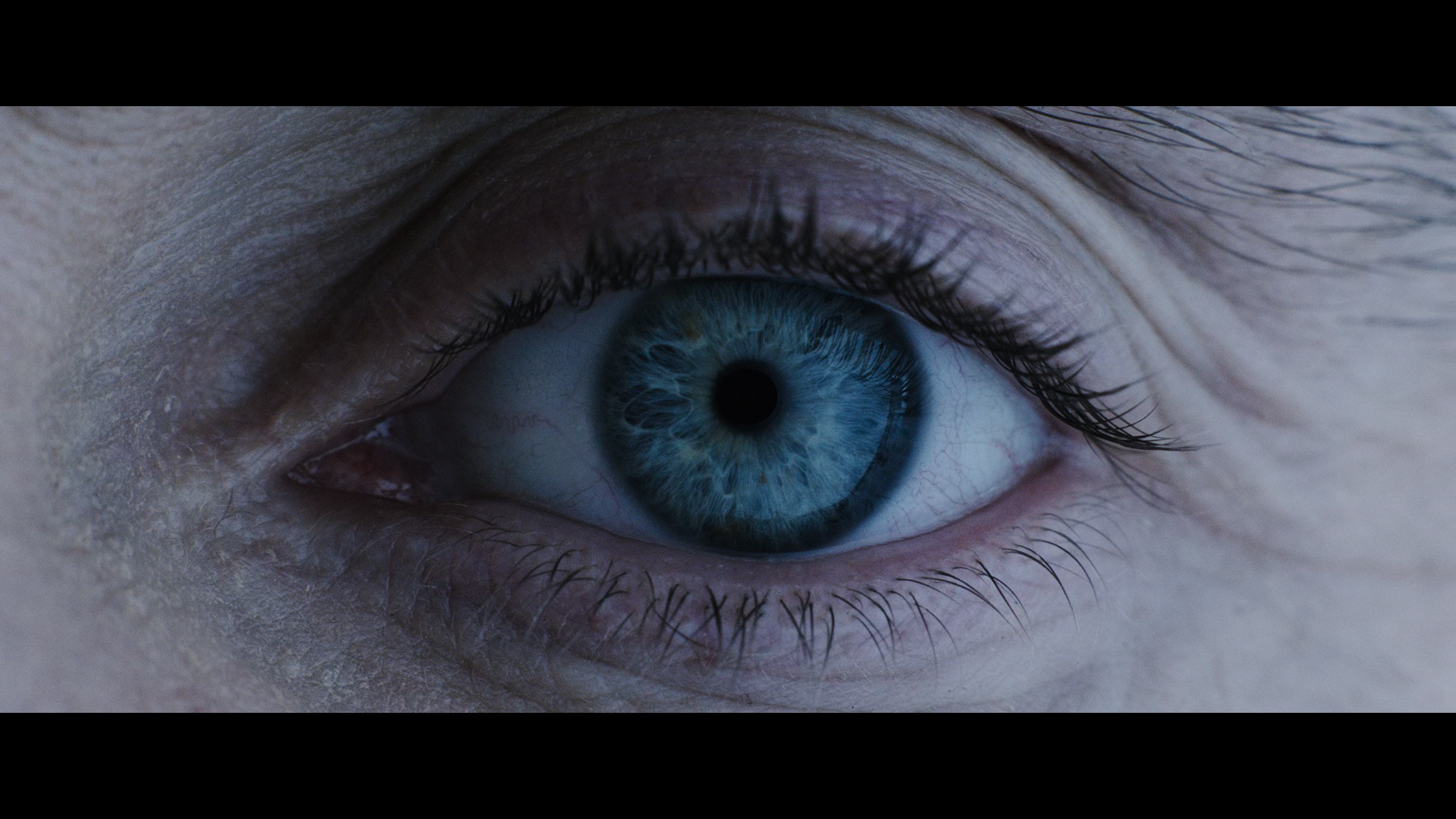 Extreme close‑up of a human blue eye opening, symbolizing awakening