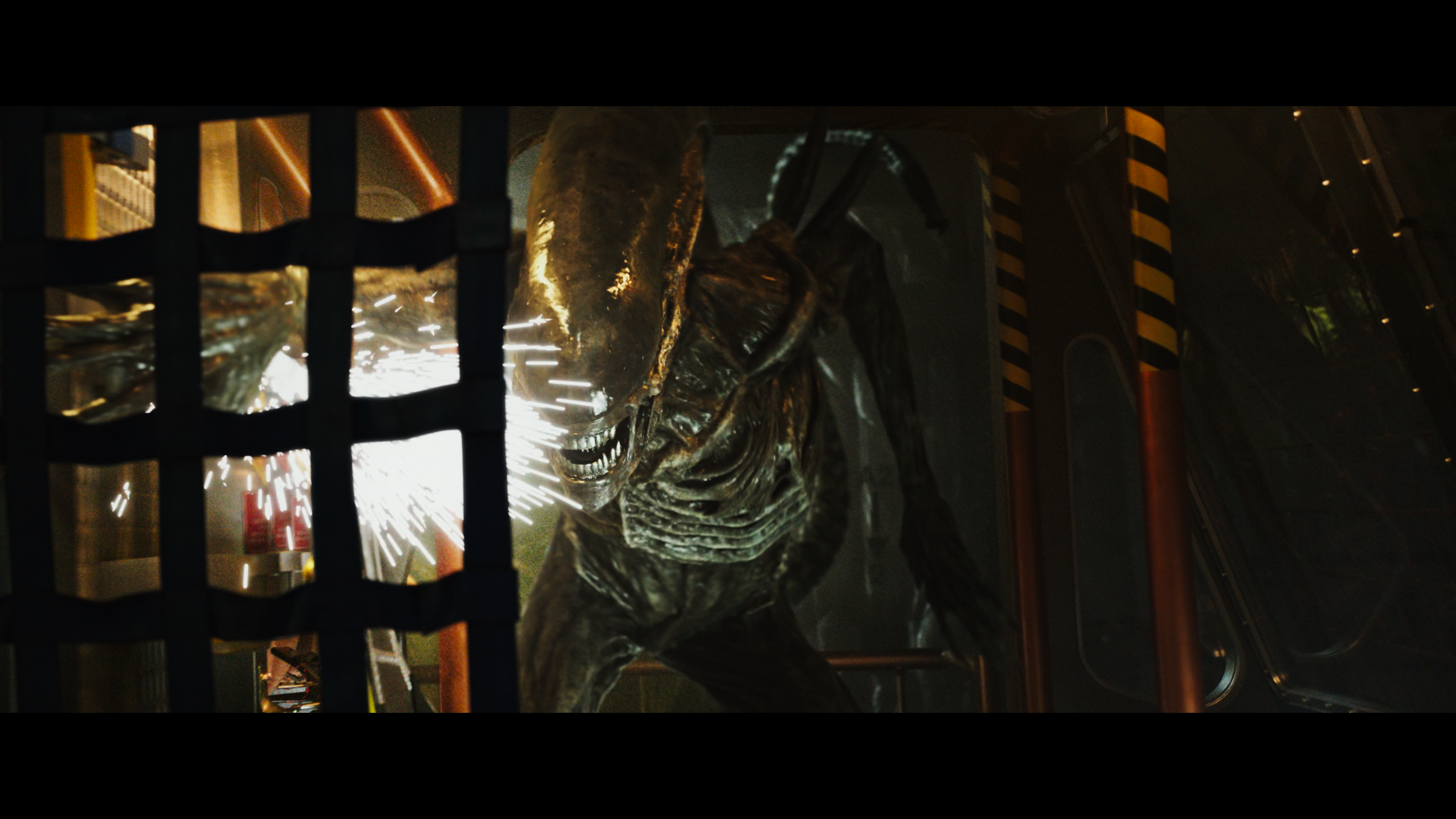 The Xenomorph rages inside the ship’s corridor, sparks flying as it thrashes