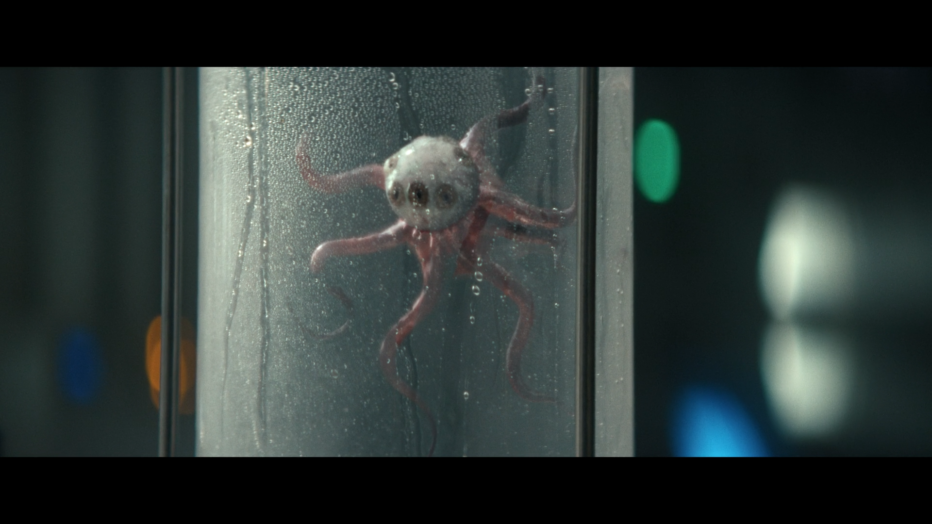 Specimen in stasis