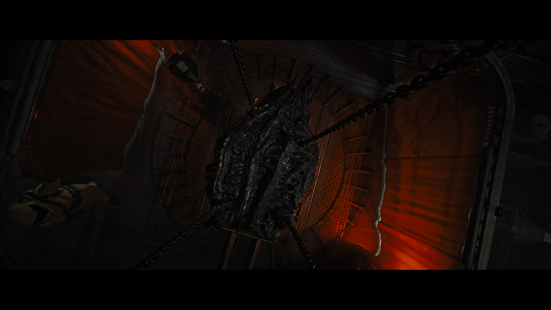 The cocoon discovery