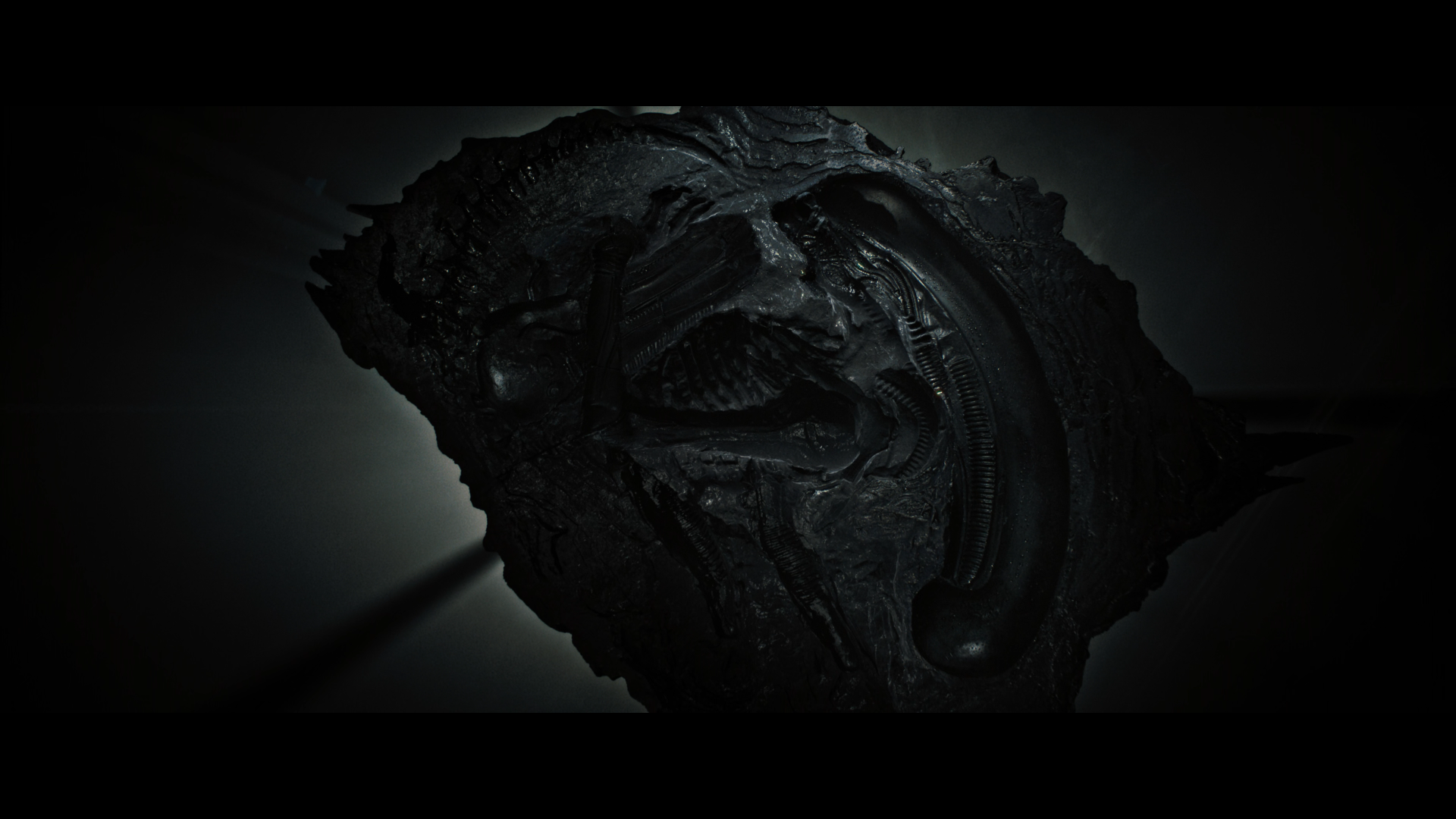 Xenomorph fossil detail