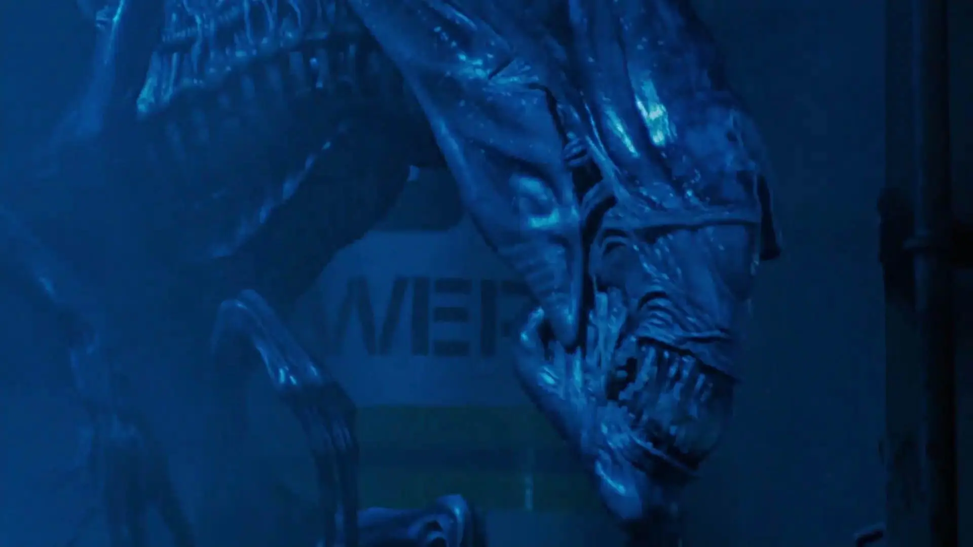 Aliens still 6