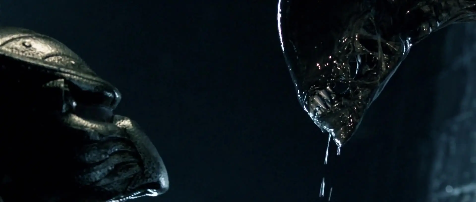 Predator faces the dripping Xenomorph at close quarters.