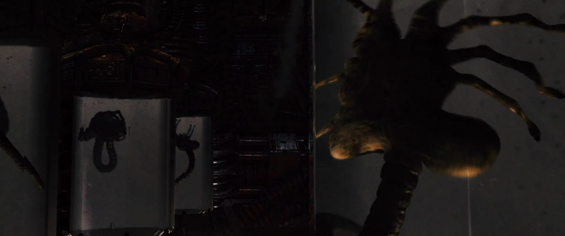 Facehuggers in containment—skittering silhouettes before escape