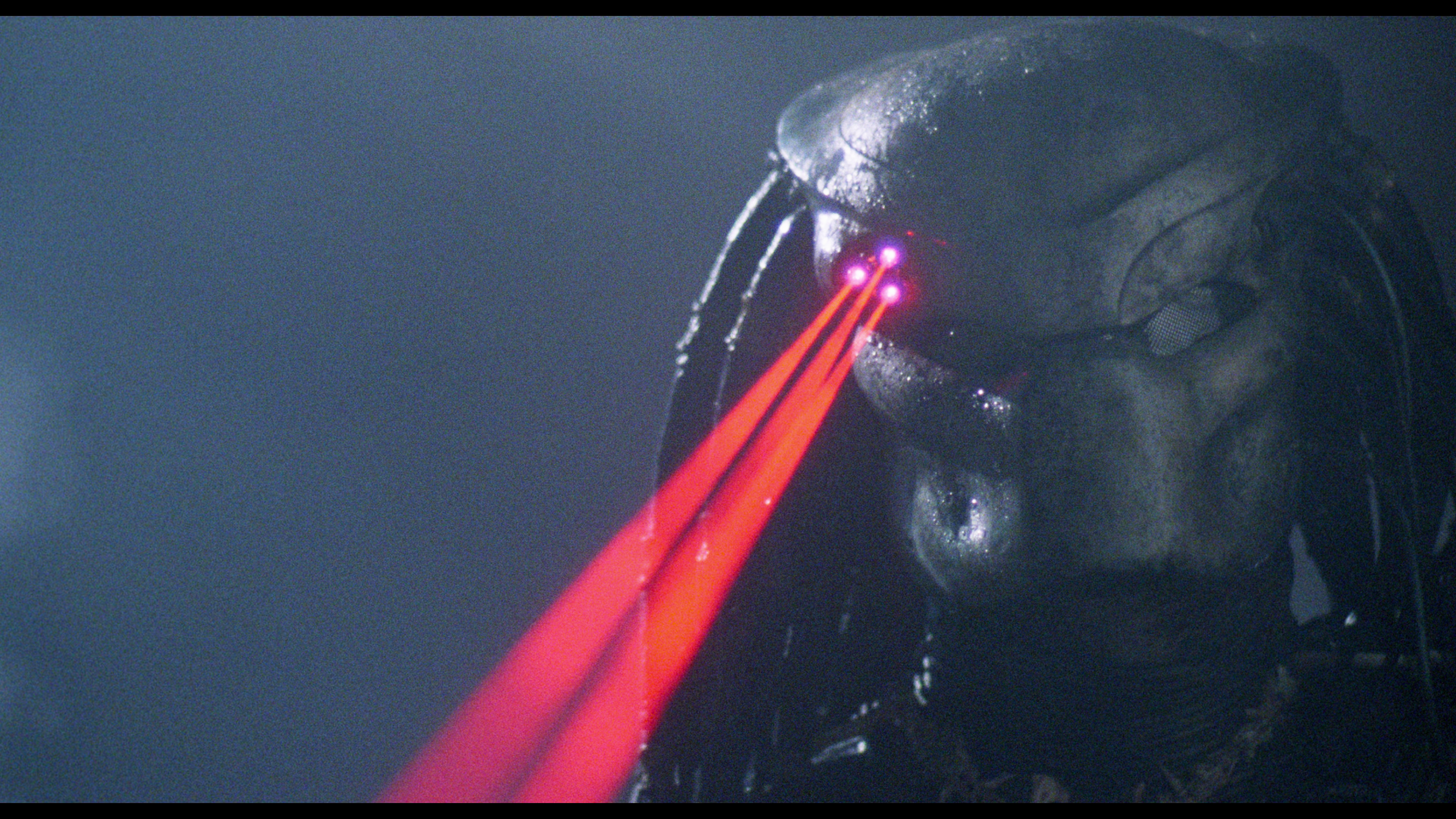 Predator targeting lasers