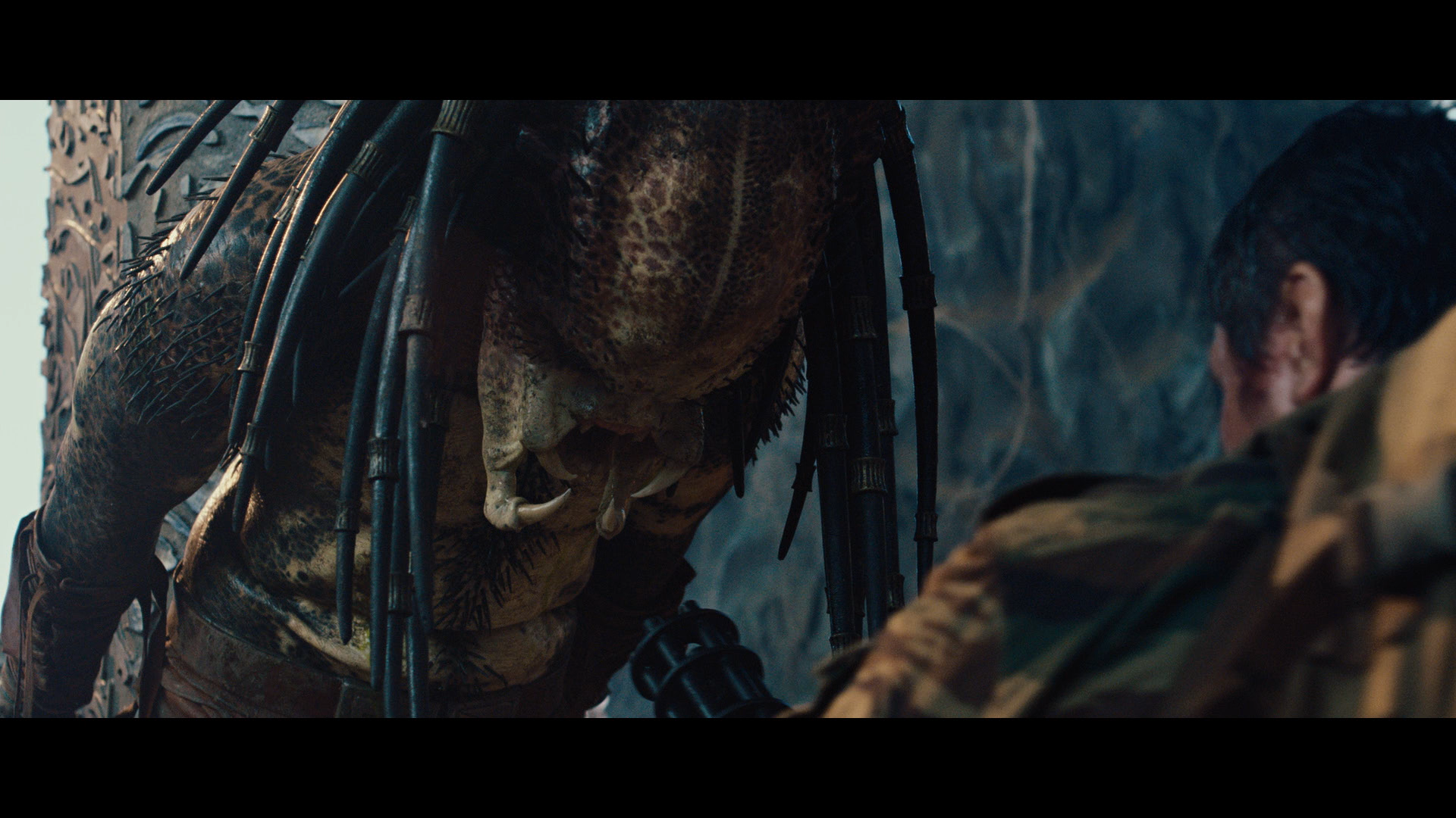 Close encounter