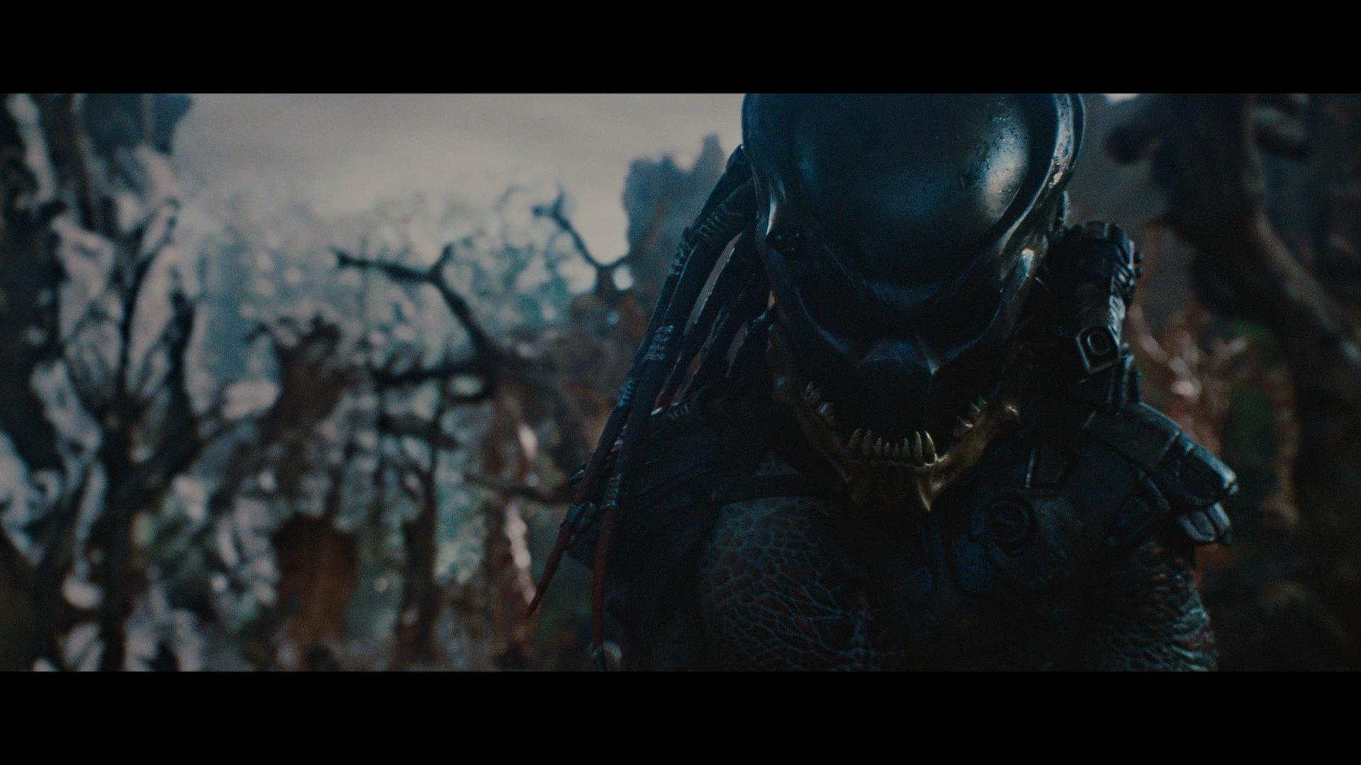 Masked Predator