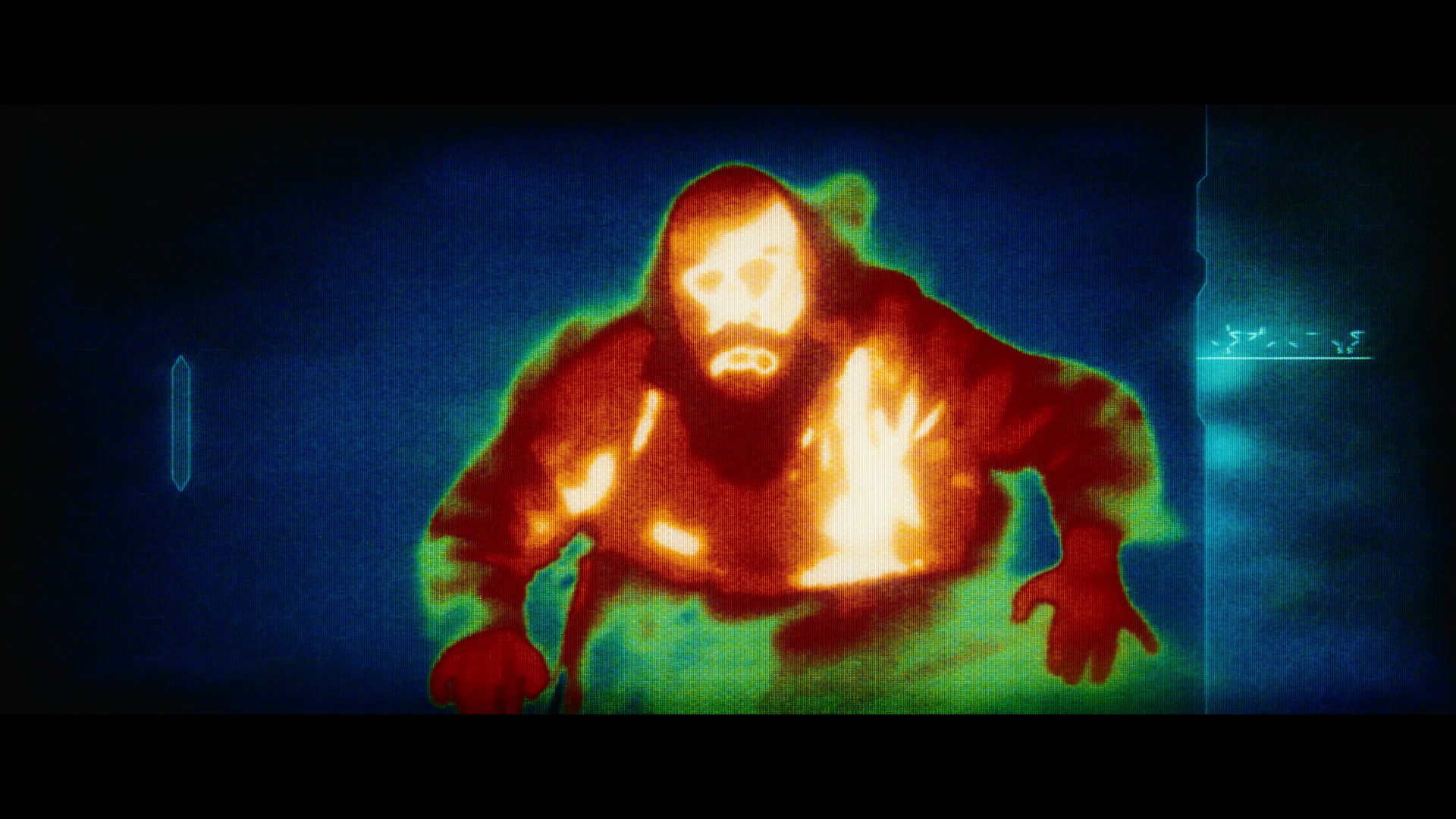 Thermal vision view