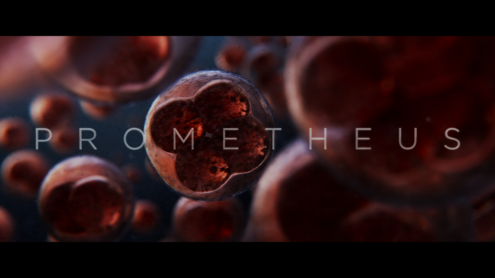 Title sequence: dividing embryonic cells spell PROMETHEUS